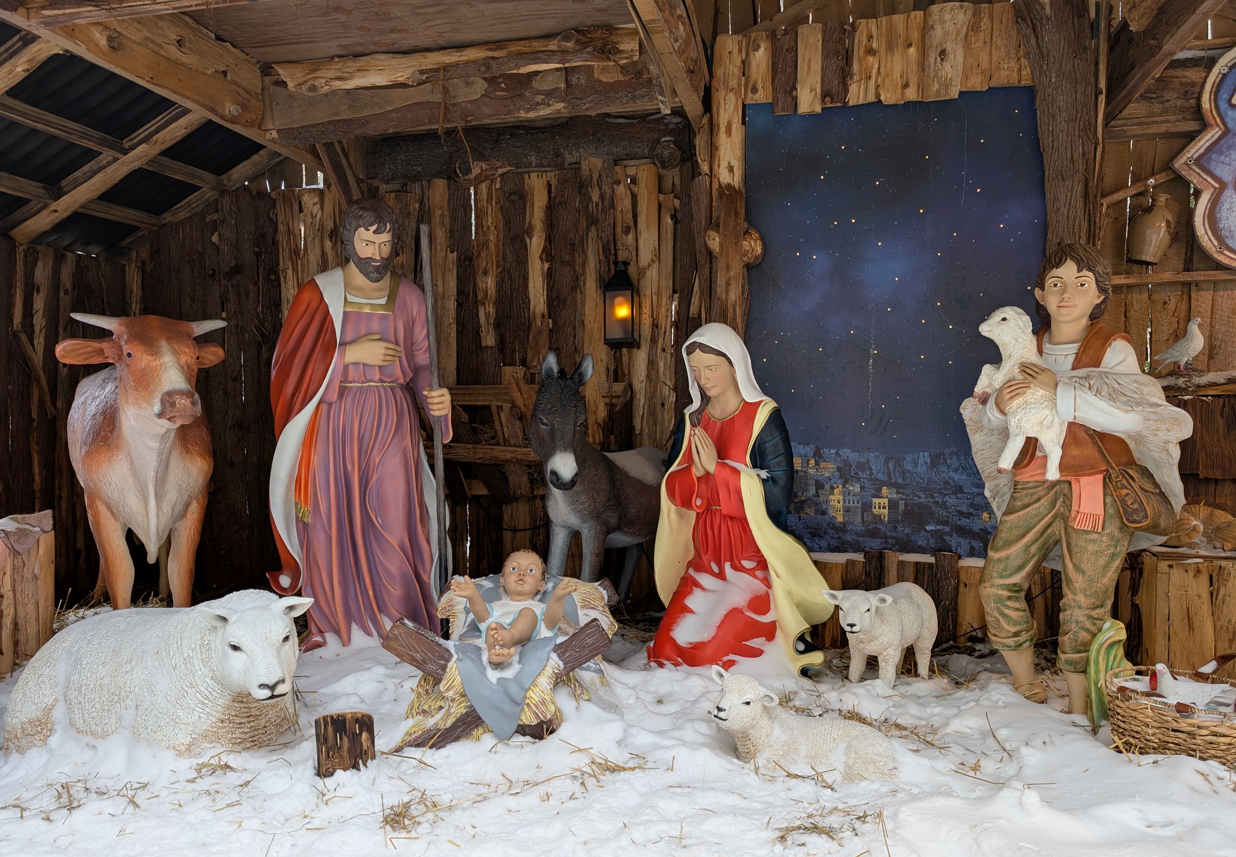 images